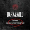 BTS - VOL.1 [DARK & WILD]